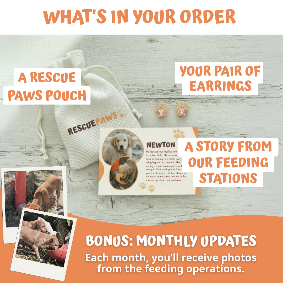 Radiant Paws Earrings